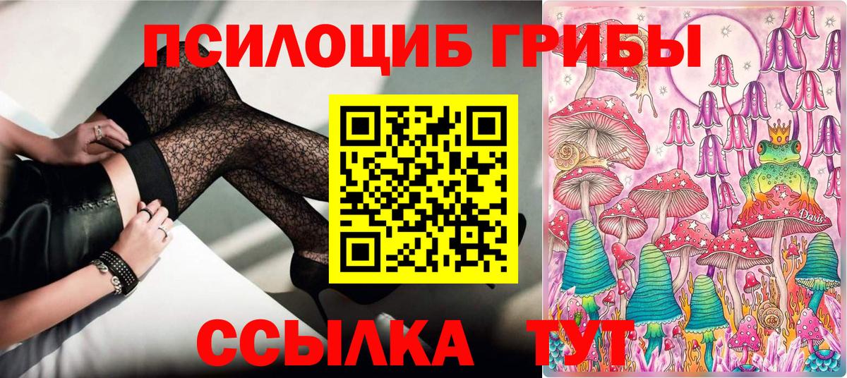 НБОМе  Киров  МЕФ   МЕФ  Вход с VPN  ГАШИШ  Alpha PVP СК  