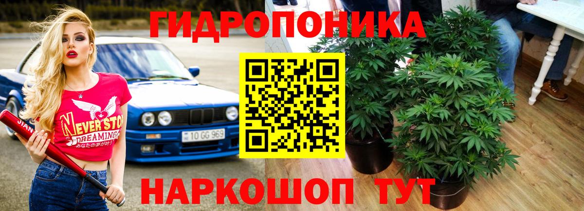 Марихуана White Widow Киров